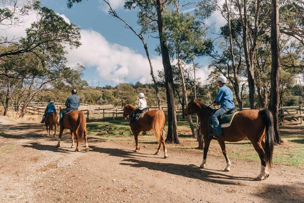 Country Club Tasmania Hotel Launceston Bagian luar foto